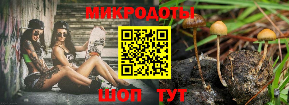 Надым  Галлюциногенные грибы Psilocybe  купить   Вход с VPN 